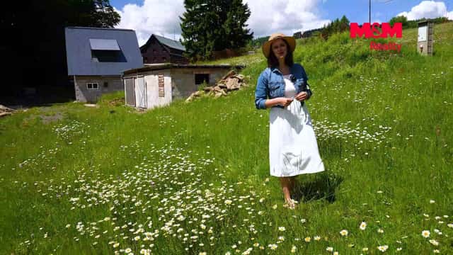 Prodej, Rodinný dům, 251 m², Paseky nad Jizerou, Paseky nad Jizerou, okres Semily
