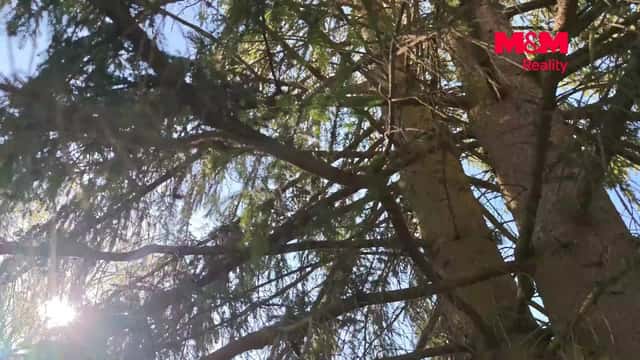 Prodej, Chata, 66 m², Zahrádka, Zahrádka, okres Plzeň-sever