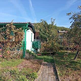 Prodej zahrady 300 m² Bílina, Chlumská, Bílina, okres Teplice