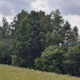 Prodej ostatních pozemků 39941 m² Pomezí nad Ohří, Tůně, Pomezí nad Ohří, okres Cheb