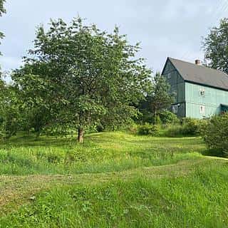 Prodej zemědělské usedlosti 160 m² Hranice, Dobrovského, Hranice, okres Cheb