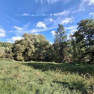 Prodej stavební parcely 4644 m² Milíkov, Milíkov, okres Cheb