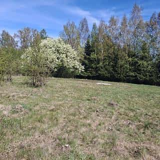 Prodej stavební parcely 517 m² Dalovice, Dalovice, okres Karlovy Vary