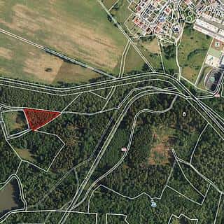 Prodej lesa 2956 m² Františkovy Lázně, Jezerní, Františkovy Lázně, okres Cheb