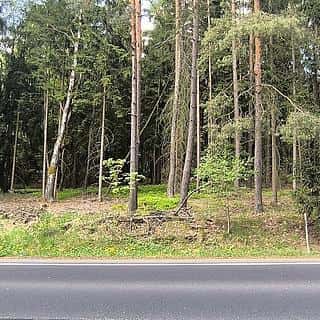 Prodej zahrady 840 m² Cheb, Cheb