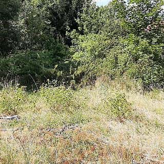Prodej komerčního pozemku 6924 m² Plesná, Plesná, okres Cheb