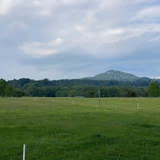 Prodej stavební parcely 1331 m² Dolní Podluží, Dolní Podluží, okres Děčín