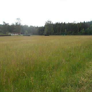 Prodej stavební parcely 3342 m² Rybniště, Rybniště, okres Děčín