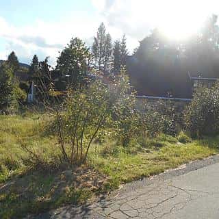 Prodej stavební parcely 980 m² Dolní Podluží, Dolní Podluží, okres Děčín