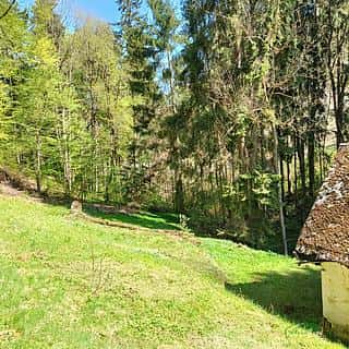 Prodej stavební parcely 3282 m² Koberovy, Koberovy, okres Jablonec nad Nisou