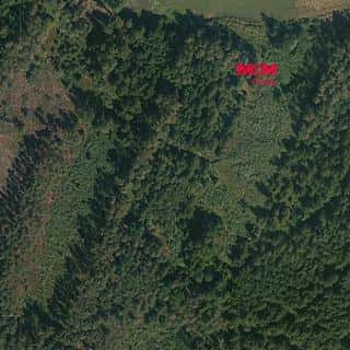 Prodej lesa 32765 m² Libín, Libín, okres České Budějovice