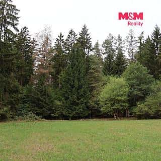Prodej lesa 1762 m² Chanovice, Chanovice, okres Klatovy