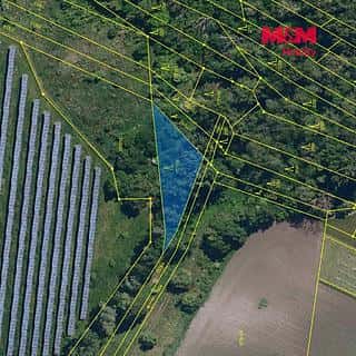 Prodej lesa 815 m² Šakvice, Šakvice, okres Břeclav