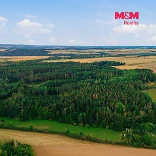 Prodej lesa 3520 m² Břežany, Břežany, okres Rakovník