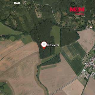 Prodej lesa 947 m² Roštění, Roštění, okres Kroměříž