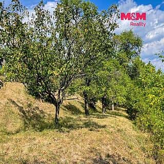 Prodej zahrady 433 m² Brno, Brno, okres Brno-město