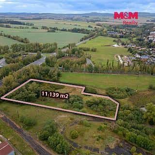 Prodej louky 11139 m² Toužim, Toužim, okres Karlovy Vary