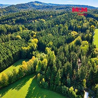 Prodej louky 15881 m² Červený Kostelec, Červený Kostelec, okres Náchod