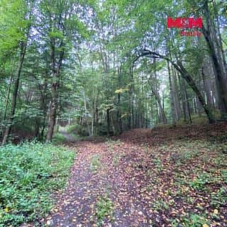 Prodej louky 2261 m² Strážná, Strážná, okres Ústí nad Orlicí