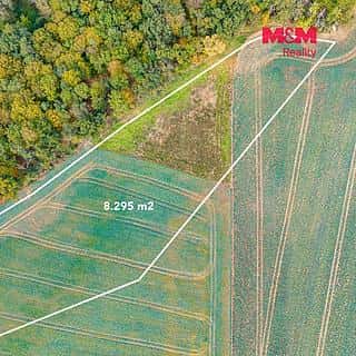 Prodej zemědělské půdy 5729 m² Číčovice, Číčovice, okres Praha-západ