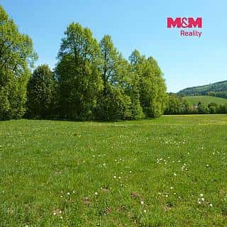 Prodej louky 26090 m² Vysoká Srbská, Vysoká Srbská, okres Náchod