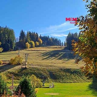 Prodej zemědělské půdy 8308 m² Stará Ves, Stará Ves, okres Bruntál