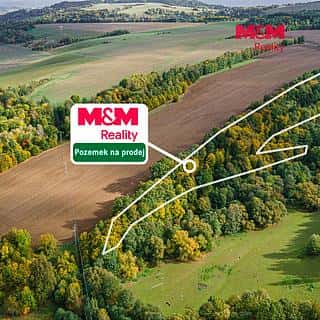Prodej lesa 29949 m² Opatov, Opatov, okres Svitavy