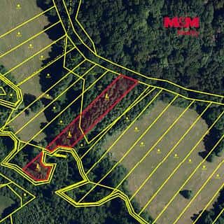 Prodej lesa 3765 m² Ruprechtov, Ruprechtov, okres Vyškov