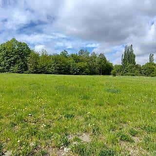 Prodej stavební parcely 2309 m² Dubno, Dubno, okres Příbram