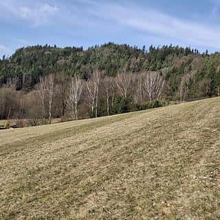 Prodej louky 49647 m² Ústí nad Orlicí, Ústí nad Orlicí