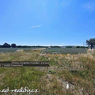 Prodej zemědělské půdy 3872 m² Vodňany, Stožická, Vodňany, okres Strakonice