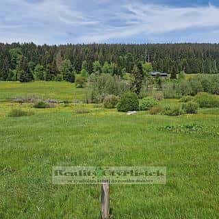 Prodej komerčního pozemku 33610 m² Železná Ruda, Železná Ruda, okres Klatovy