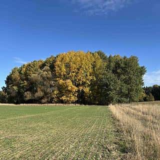 Prodej vodní plochy 6467 m² Švihov, Švihov, okres Klatovy