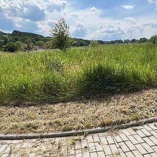Prodej stavební parcely 777 m² Kamenný Újezd, Plavská, Kamenný Újezd, okres České Budějovice