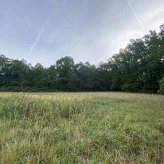 Prodej louky 2972 m² Ostřetín, Ostřetín, okres Pardubice