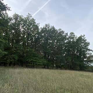 Prodej lesa 11957 m² Ostřetín, Ostřetín, okres Pardubice