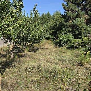 Dražba stavební parcely 721 m² Brno, Slatinská, Brno, okres Brno-město