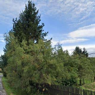 Prodej stavební parcely 4058 m² Sobotka, Sobotka, okres Jičín