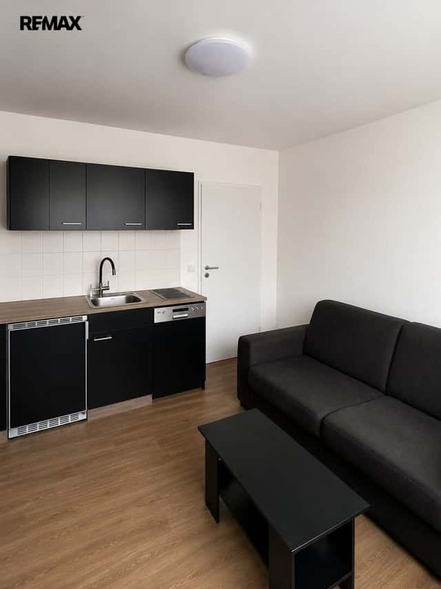 Prodej bytu 1+kk v družstevním vlastnictví 20 m², České Budějovice, Puklicova, České Budějovice