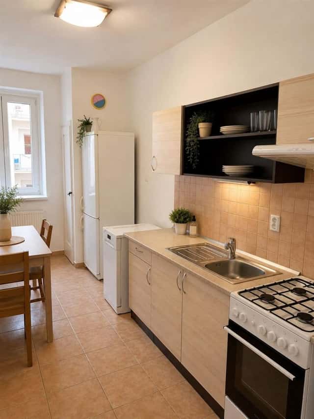 Pronájem bytu 2+1 68 m2, Cihlářská, Brno – Veveří, okres Brno-město