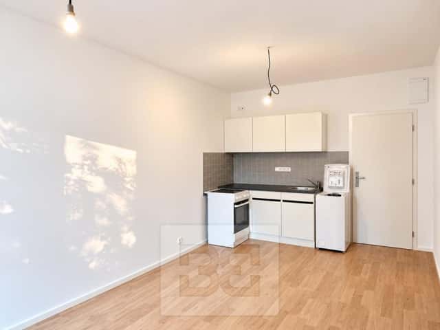 Pronájem bytu 1+kk 22 m2, Havlovického, Praha 4 – Braník