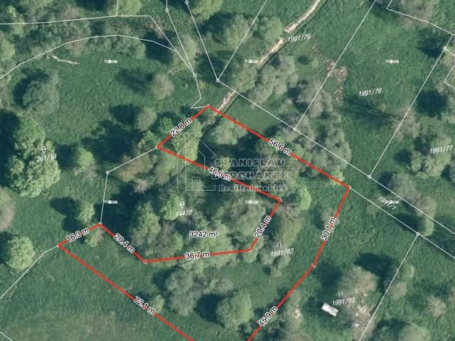 Prodej pozemku 4929 m2, Nová Ves, Nová Ves, okres Sokolov
