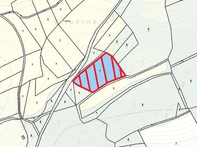 Prodej pozemku 6582 m2, Zbynice, Hrádek – Zbynice, okres Klatovy