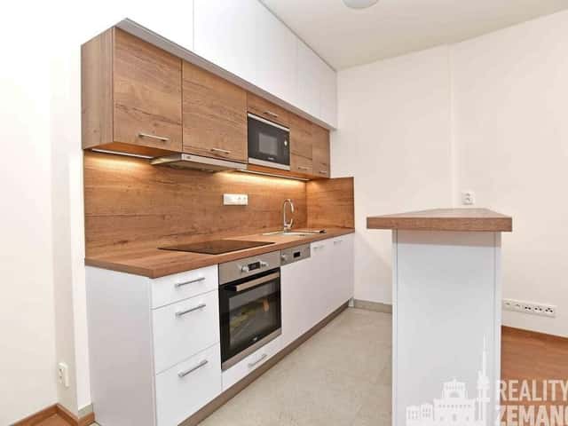 Pronájem bytu 1+kk 30 m2, Řipská, Praha 3 – Vinohrady