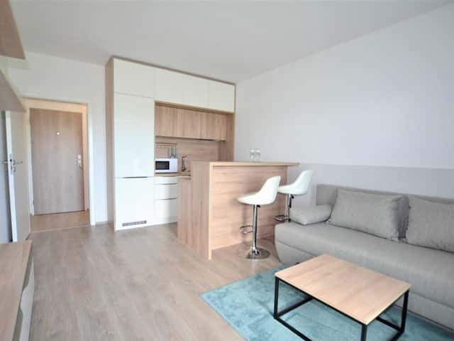 Pronájem bytu 1+1 48 m2, Nad studánkou, Praha 4 – Nusle