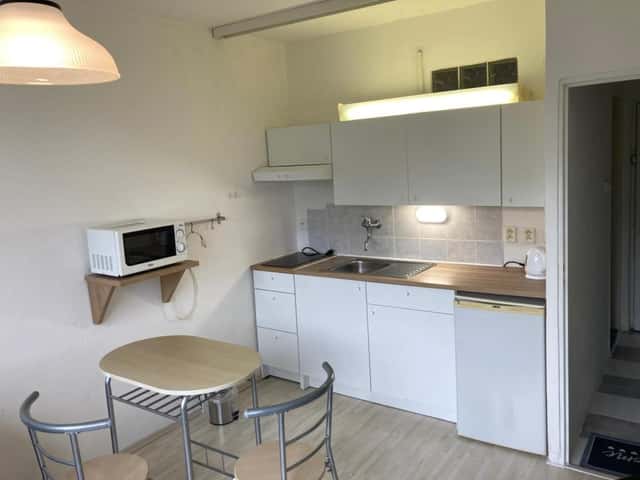 Pronájem bytu 1+kk 22 m2, Ruprechtická, Liberec – Liberec I-Staré Město