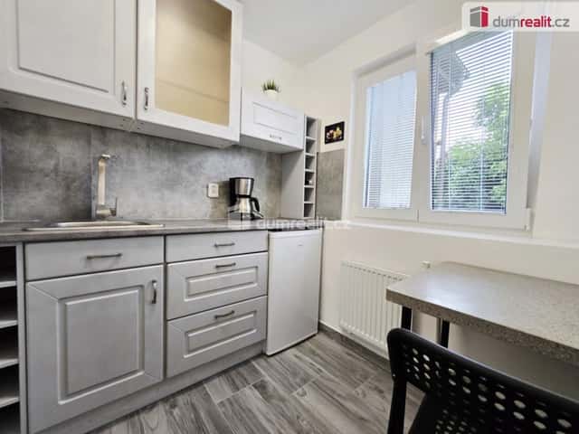 Pronájem bytu 1+kk 20 m2, Nová, Lužná, okres Rakovník