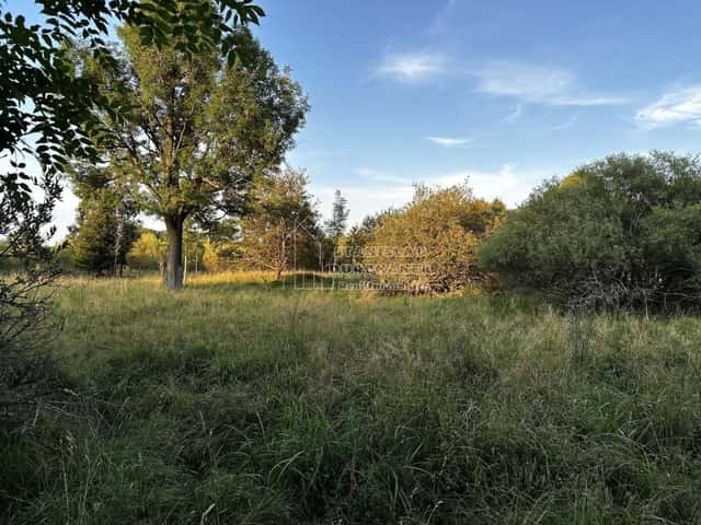 Prodej pozemku 1713 m2, Nová Ves, Nová Ves, okres Sokolov