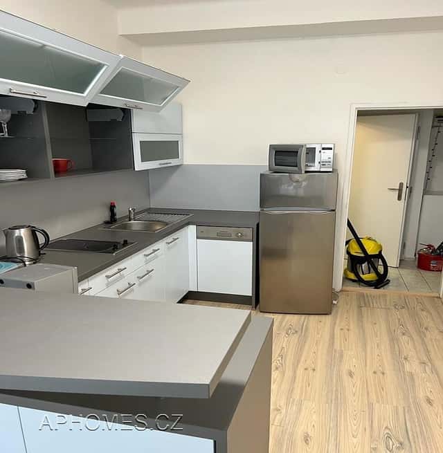 Pronájem bytu 1+1 46 m2, Thámova, Praha 8 – Karlín