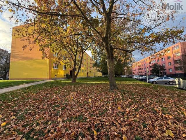 Prodej bytu 2+1 56 m2, M. Švabinského, Bílina – Teplické Předměstí, okres Teplice